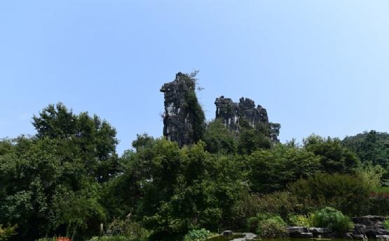 桂林骆驼山(广西壮族自治区桂林七星区旅游)