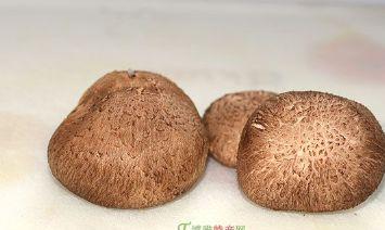 龙泉香菇(浙江省丽水龙泉特产美食)