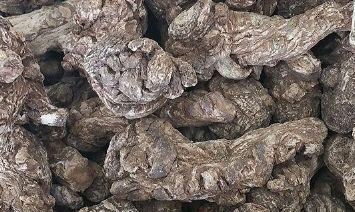 名贵药材