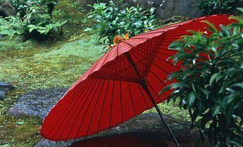 泸州红伞