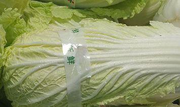 胶州大白菜