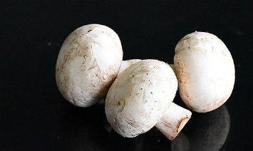 镜泊山蘑菇