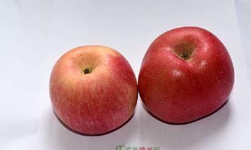 陕北苹果