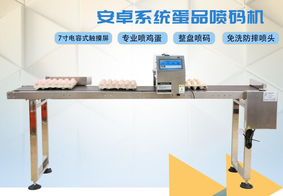 沈阳在线式多头鸡蛋日期喷码机
