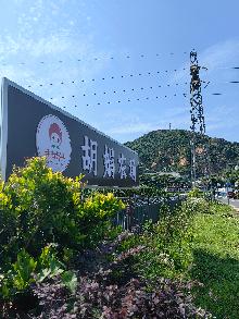 正宗阳山水蜜桃供应商