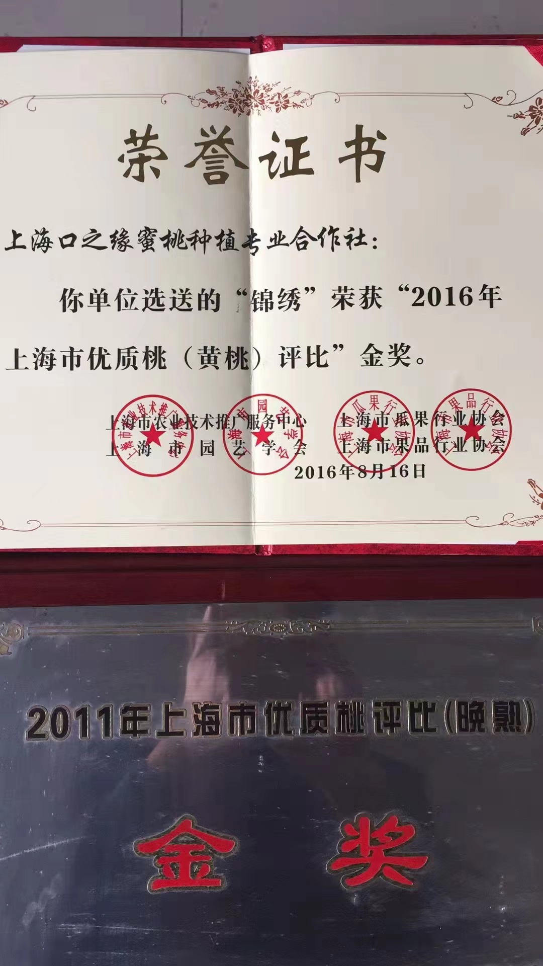奉贤黄桃节什么时候举行
