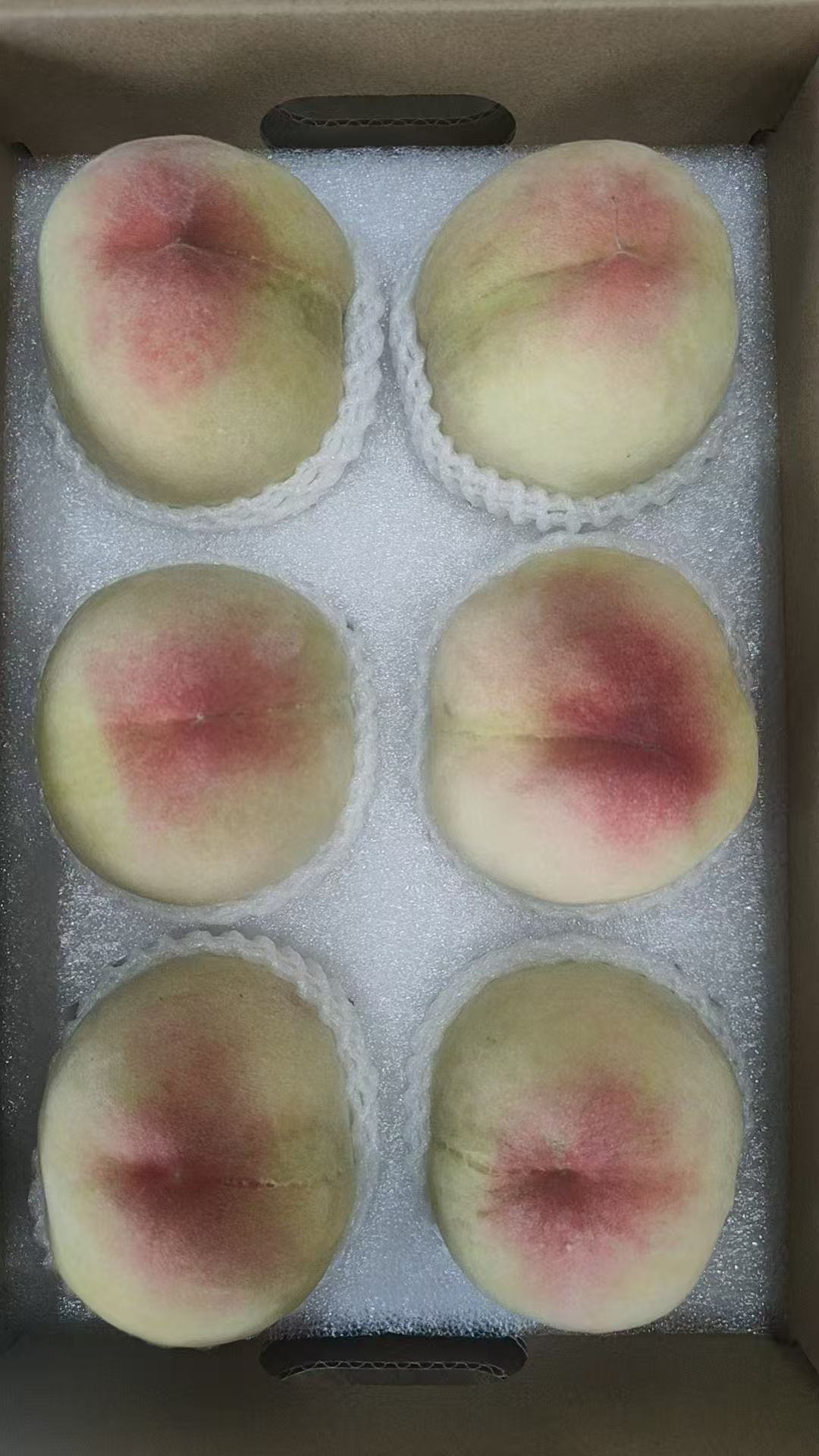 哪里能买到正宗阳山水蜜桃