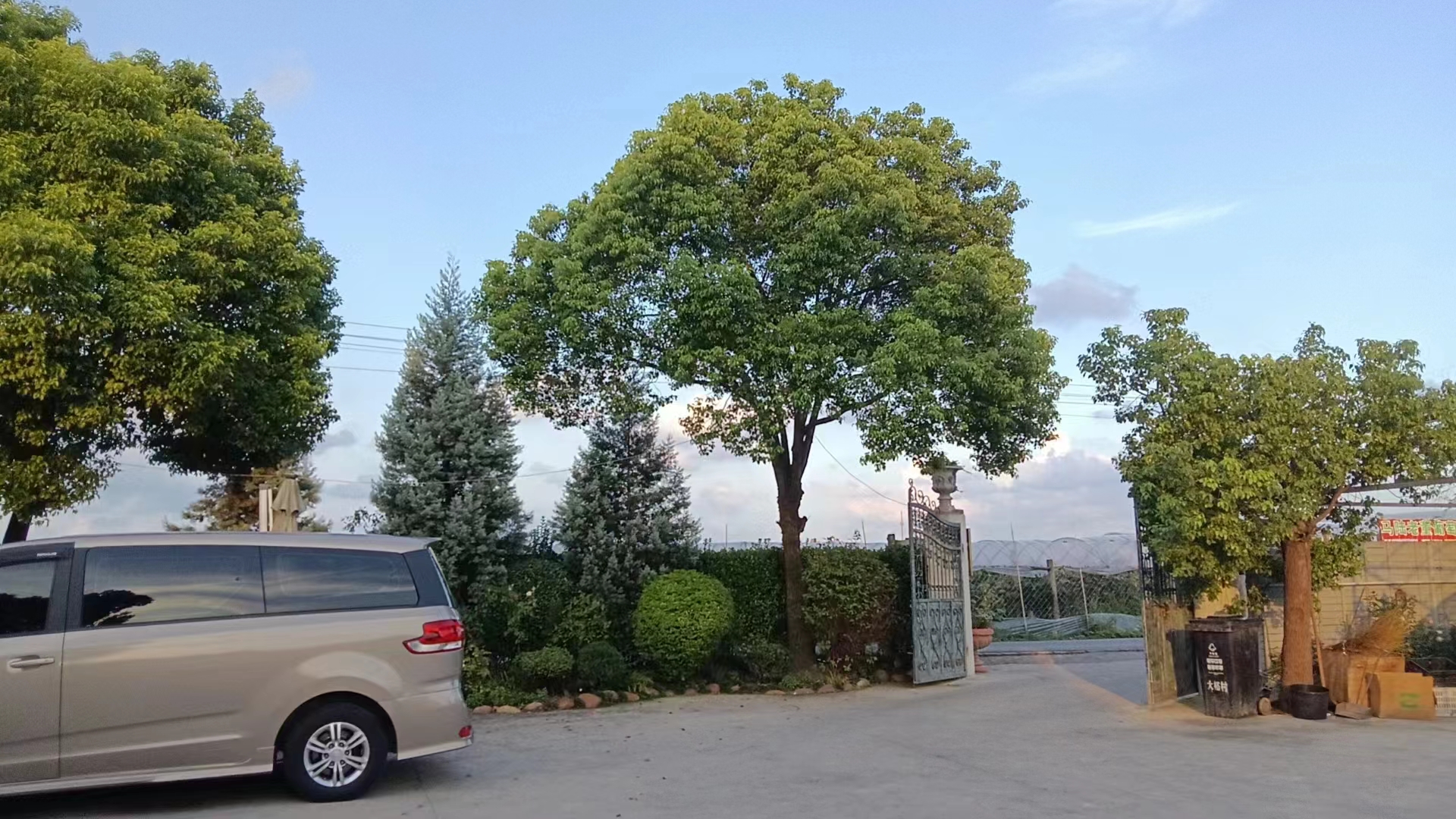 馬陸葡萄哪里可以買到正宗的