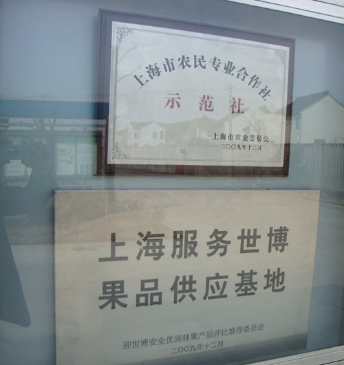 奉贤锦绣黄桃上市时间是几月份