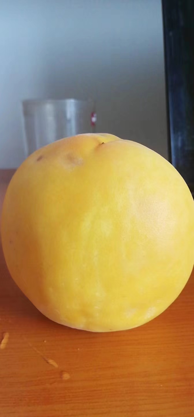 奉贤黄桃哪里有买
