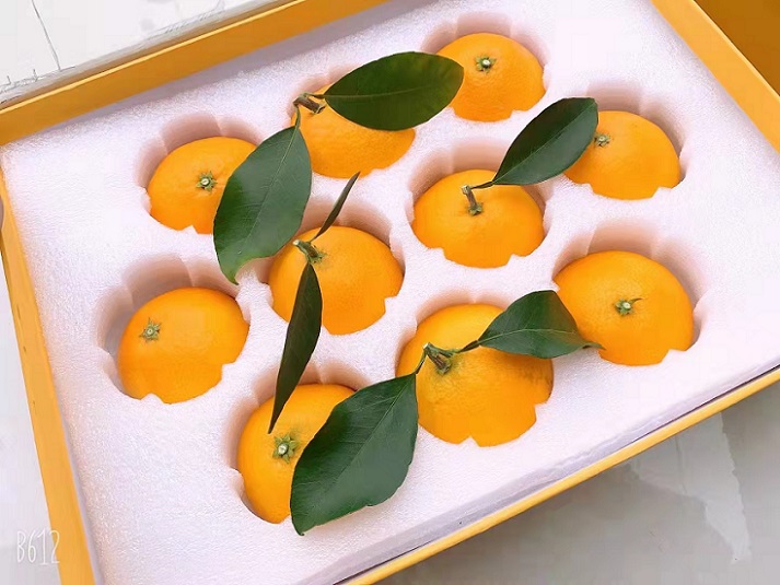 象山红美人品种是怎么来的