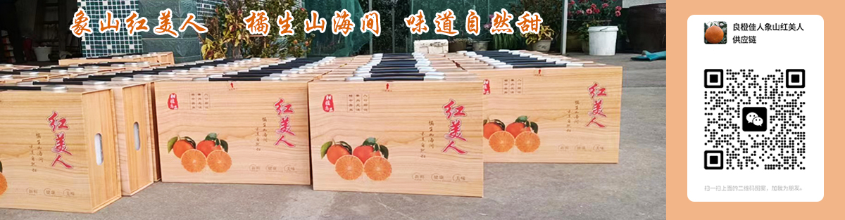 鹅肥肝