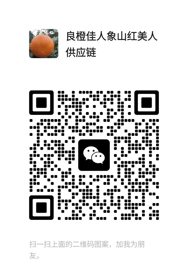 象山红美人供应链招微商代理支持一件代发
