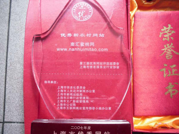 南汇水蜜桃网